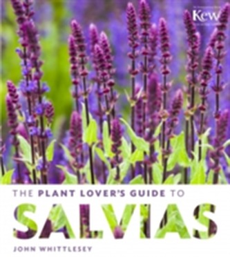 Plant Lovers Salvias - Hc