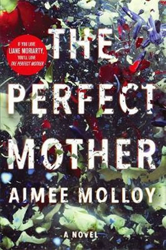 The Perfect Mother