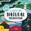 A MAZE ING NATURAL PHENOMENA