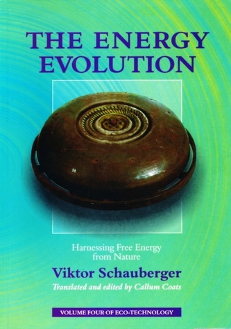 The Energy Evolution