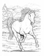 Wonderful World of Horses Coloring Book