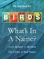Birds: What's In A Name?