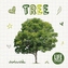 Life Cycle of a Tree