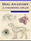 Dog Anatomy