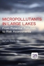 Micropollutants in Large Lakes