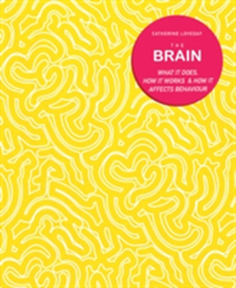 The Brain