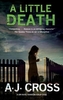 A Little Death
