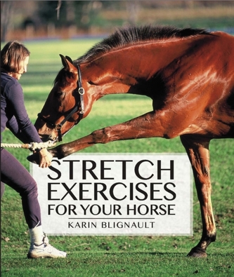 Stretch Exercises for Your Horse