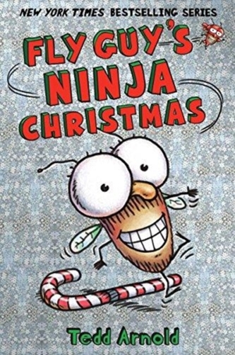 FLY GUYS NINJA CHRISTMAS