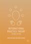 International Practice Theory