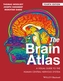 The Brain Atlas