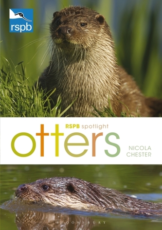 RSPB Spotlight: Otters