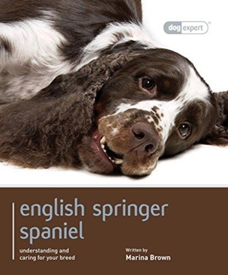 English Springer Spaniel: Dog Expert