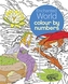COLOUR BY NUMBERS ENCHANTED WORLD