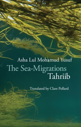 Sea Migrations: Tahriib