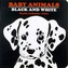 Baby Animals Black And White