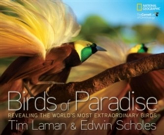 Birds of Paradise