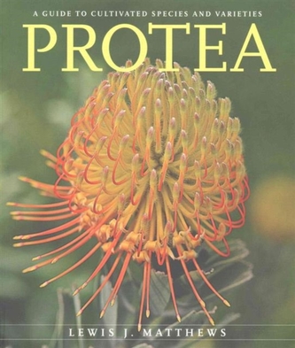 Protea