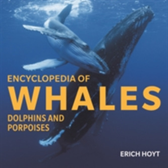 Encyclopedia of Whales, Dolphins and Porpoises
