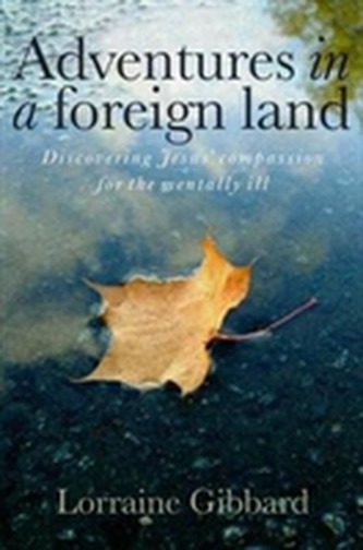 Adventures in a Foreign Land