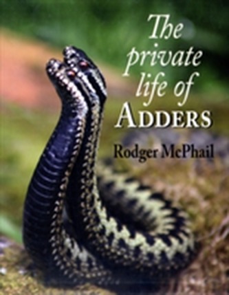 The Private Life of Adders