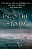 Into the Storm