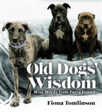 Old Dog Wisdom