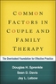 Common Factors in Couple and Family Therapy