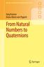 From Natural Numbers to Quaternions