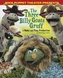 Sock Puppet Theatre Presents The Three Billy Goats Gruff