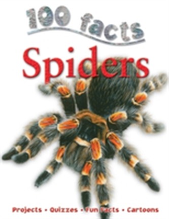 100 Facts - Spiders