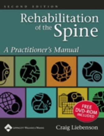 Rehabilitation of the Spine