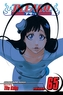 Bleach 65 (anglicky)