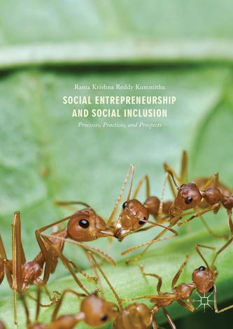 Social Entrepreneurship and Social Inclusion