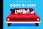 Dogs in Cars