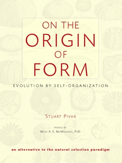 Origin form