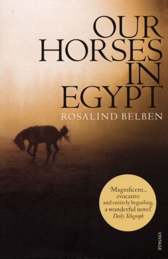 Our Horses In Egypt