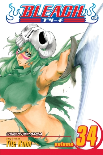 Bleach 34 (anglicky)