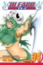 Bleach 34 (anglicky)