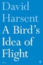 A Bird's Idea of Flight
