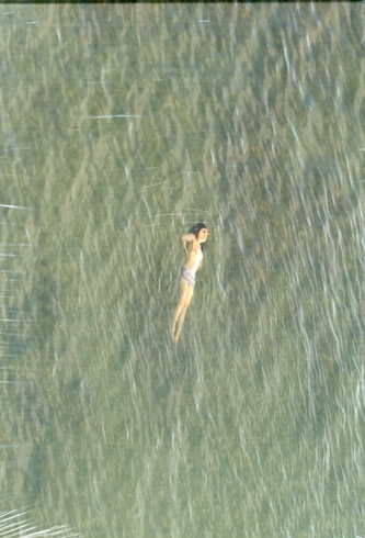 Richard Misrach:The Mysterious Opacity of Other Beings