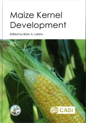 Maize Kernel Development