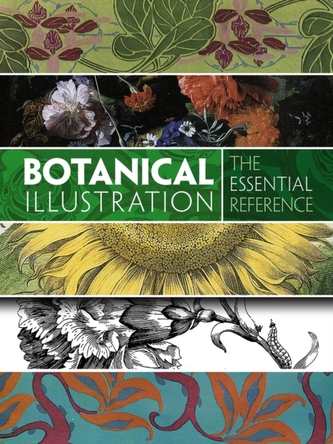 Botanical Illustration: The Essential Reference