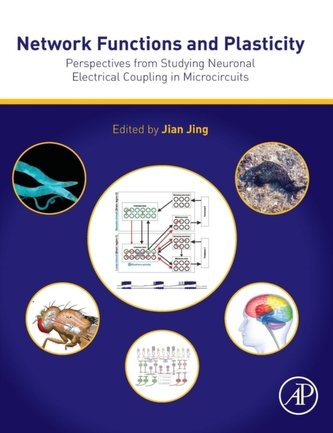 Network Functions and Plasticity