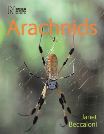 Arachnids