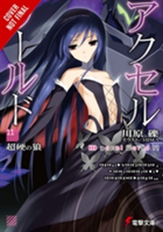 Accel World, Vol. 11 (light novel)