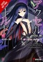 Accel World, Vol. 11 (light novel)