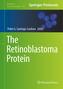 The Retinoblastoma Protein