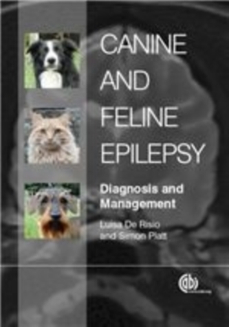 Canine and Feline Epilepsy