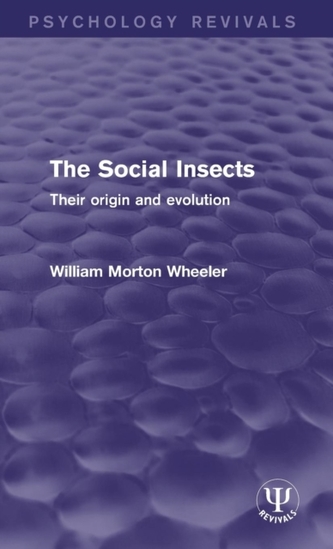 The Social Insects